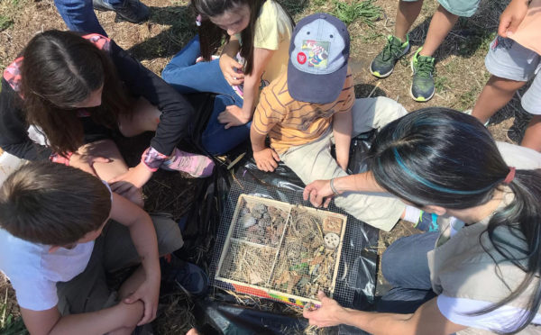 Vivències sobre biodiversitat