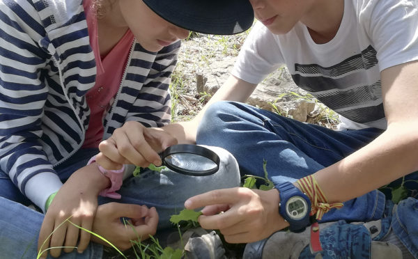 Vivències sobre benestar i salut