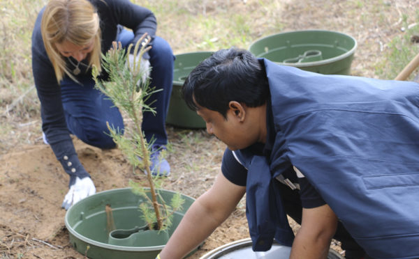 Voluntariat corporatiu